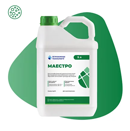 Маестро