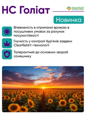 НС Голіат (CL)